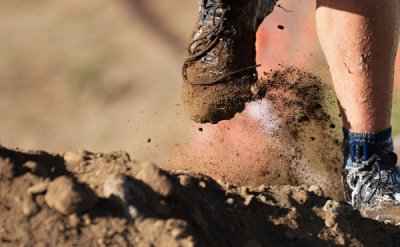 ULTIMATE OCR 7.0 Avala | Avala